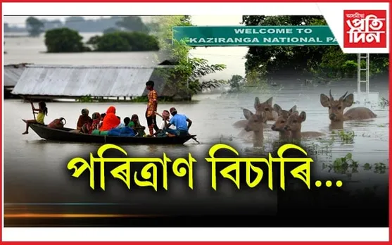 কিমানৰ প্ৰাণ গ'লে বান সমস্যা নিৰ্মূল হ'ব?